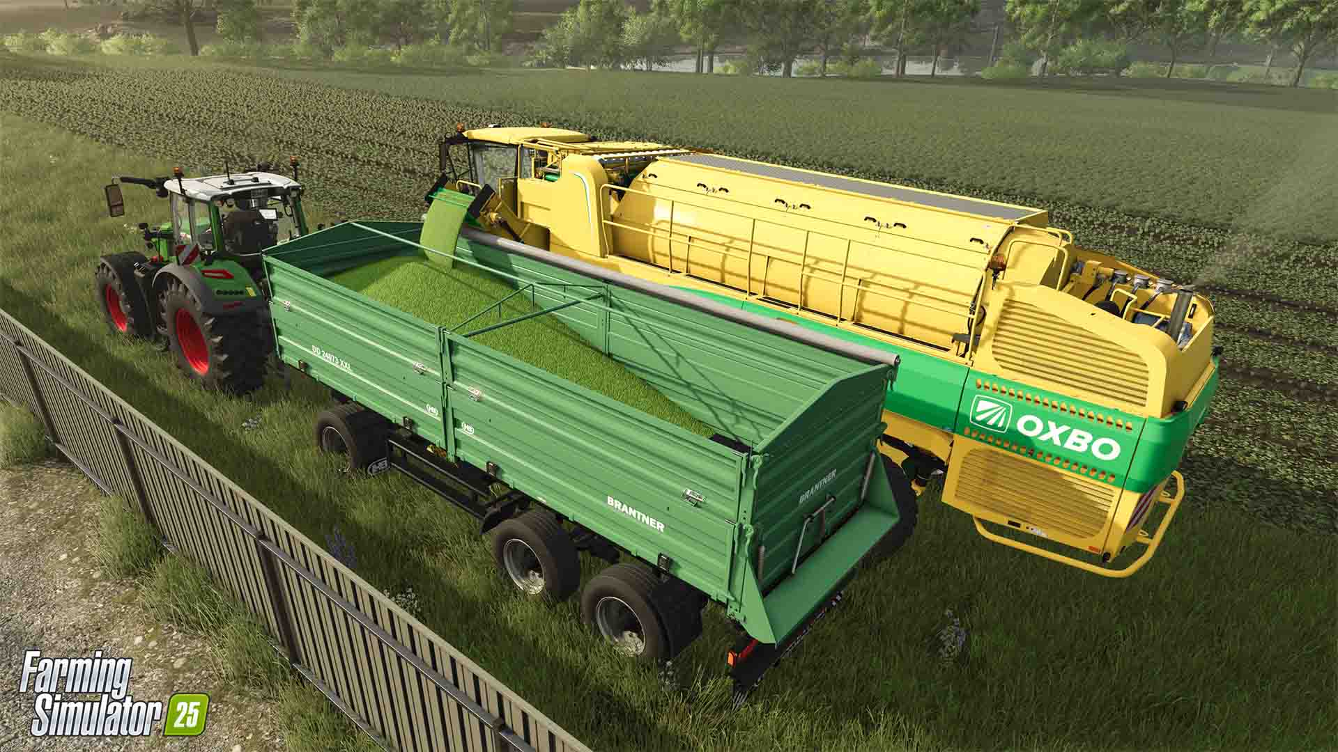 Farming Simulator 25: анонсированы еще два урожая