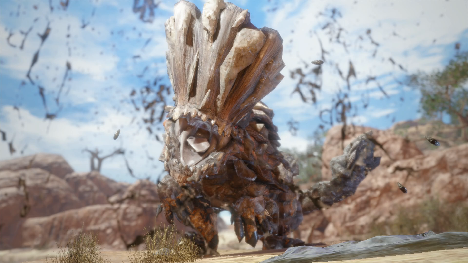 Monster hunter barroth