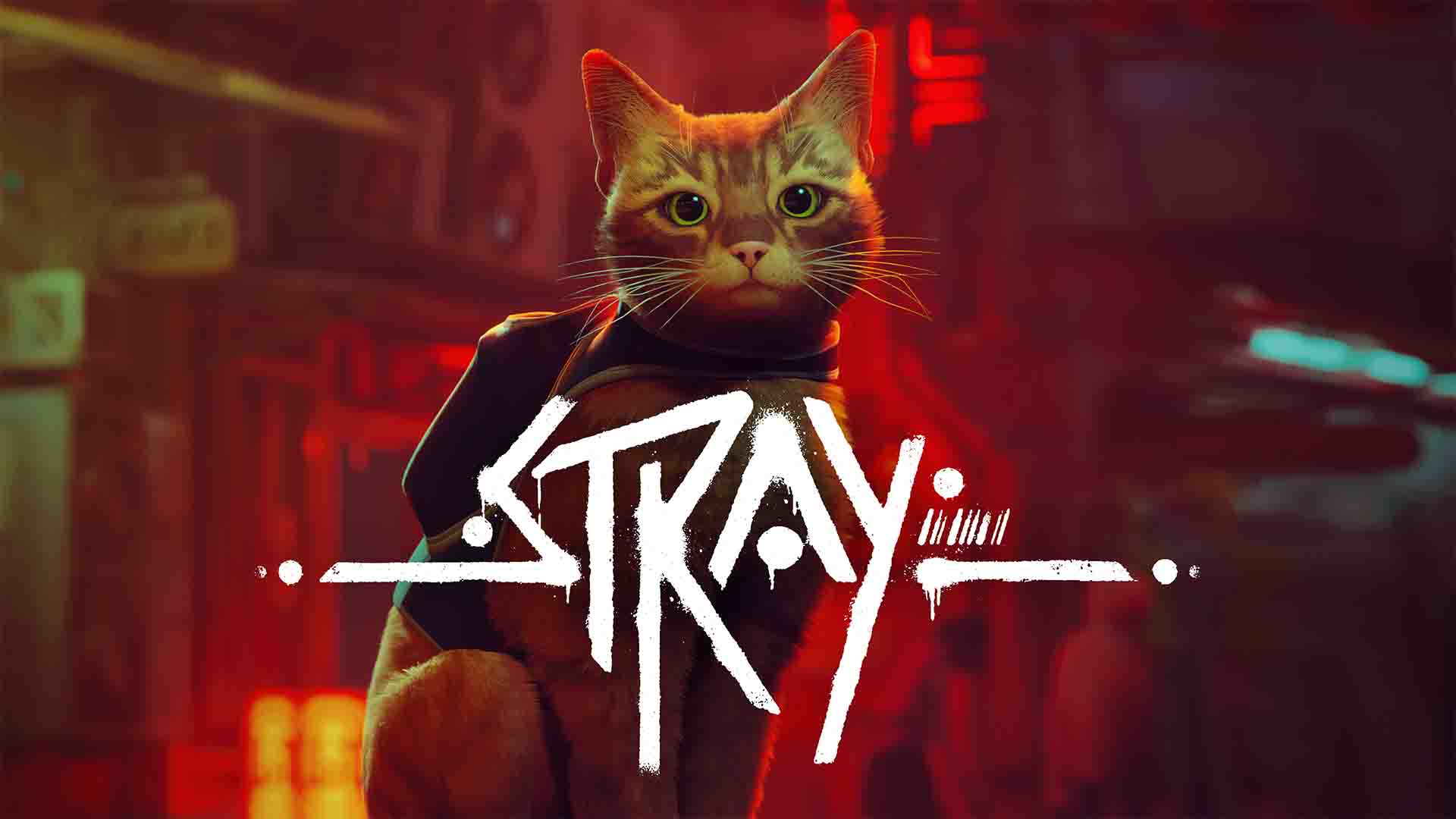 Stray Nintendo Switch review